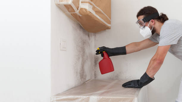 Professional Commercial Mold Remediation technician working in Thornton, PA