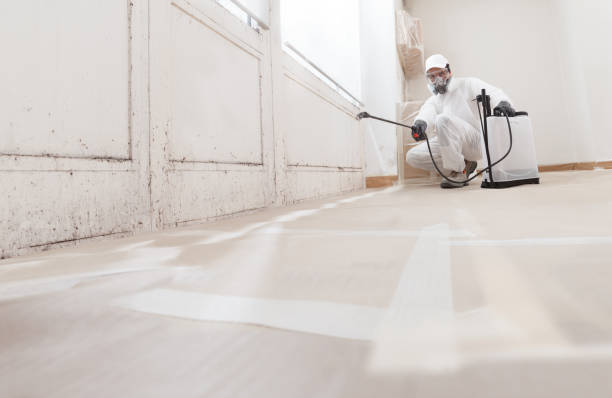 24/7 Emergency Commercial Mold Remediation experts in Thornton, PA