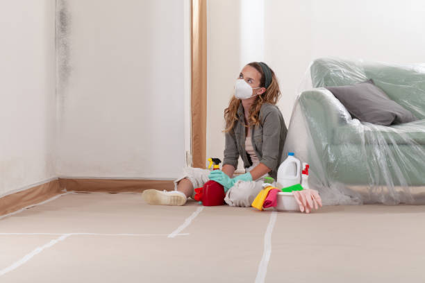 Reliable Commercial Mold Remediation contractor in Thornton, PA by WQB Mold Removal
