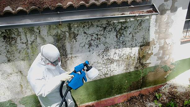 Top rated local Commercial Mold Remediation specialists in Thornton, PA
